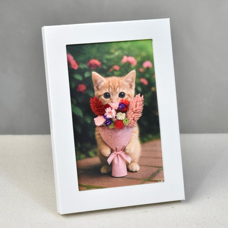 Bloom Kitty